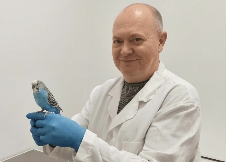 Саратовские ветеринары помогли попугаю Роме с длинным клювом