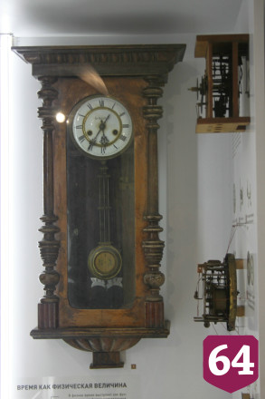 В саратовском музее выхухоль стал символом уходящего времени